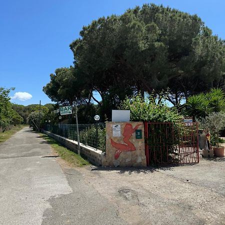 Hotel Paradiso Tarquinia Exterior photo